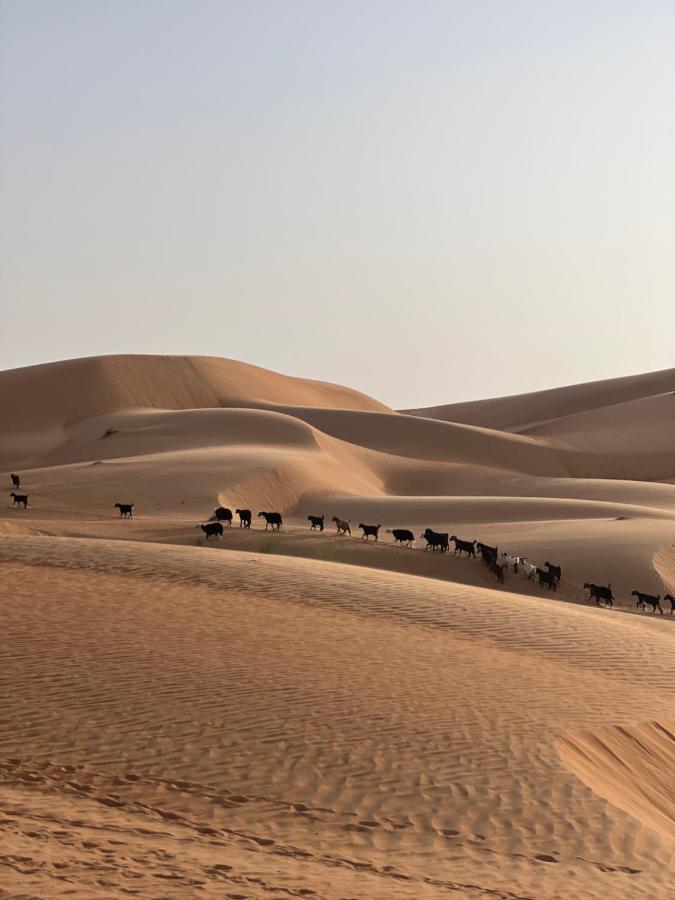 Thousand Stars Desert Camp Badīyah Exterior foto