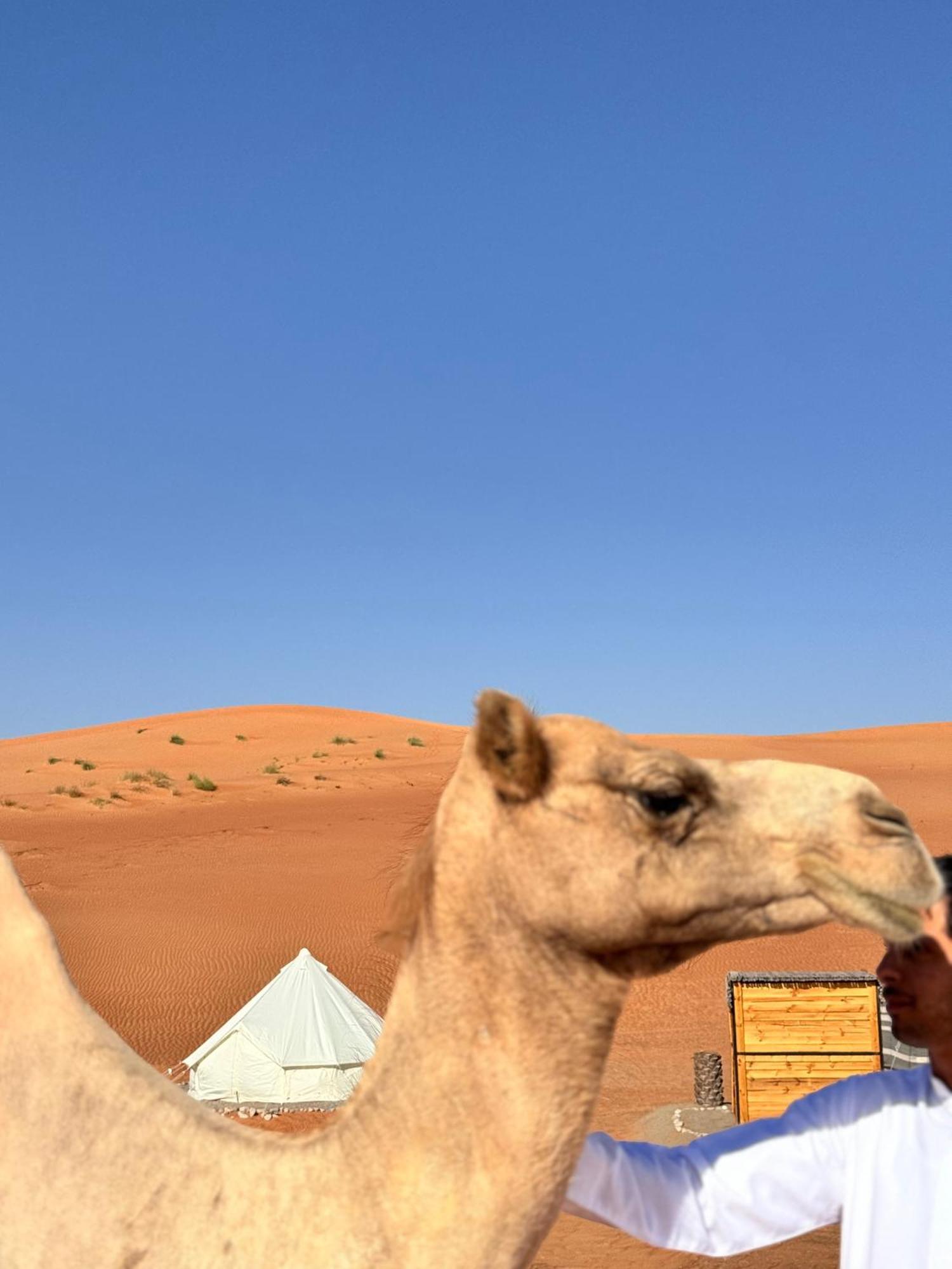 Thousand Stars Desert Camp Badīyah Exterior foto